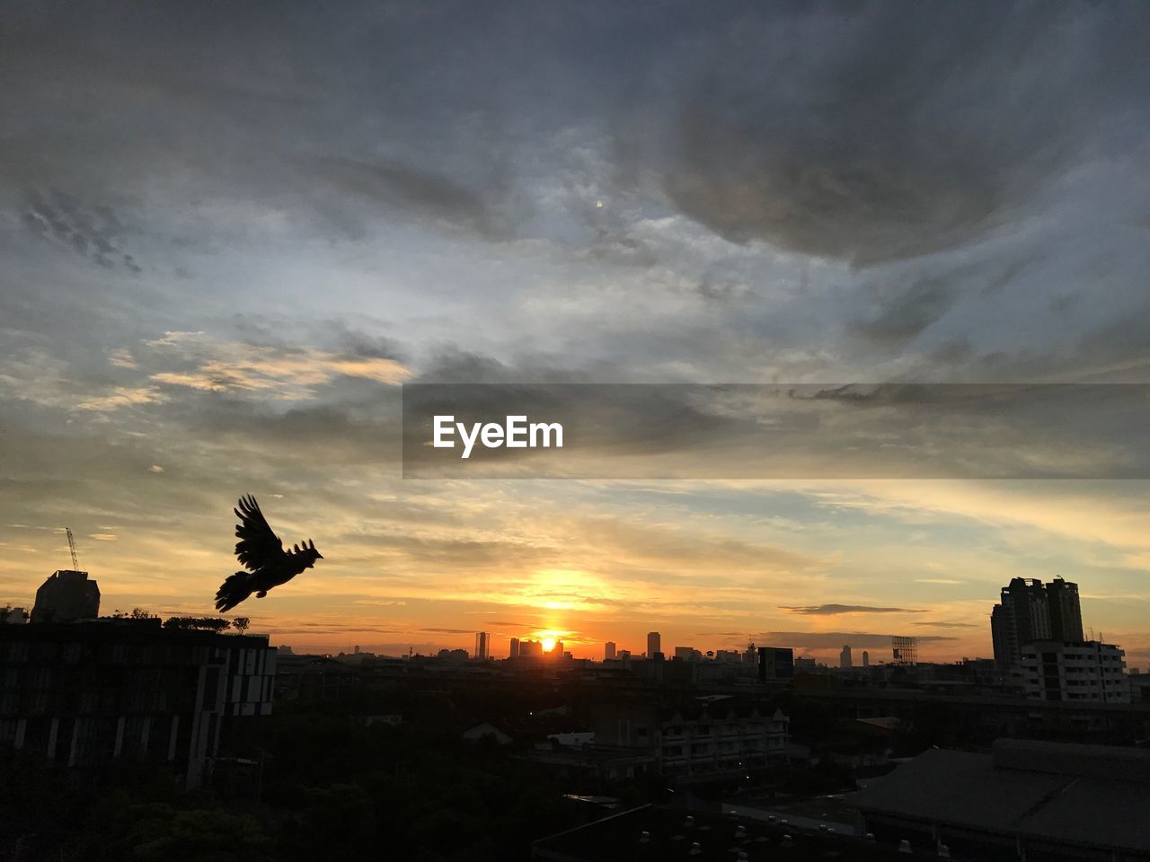 VIEW OF CITY DURING SUNSET