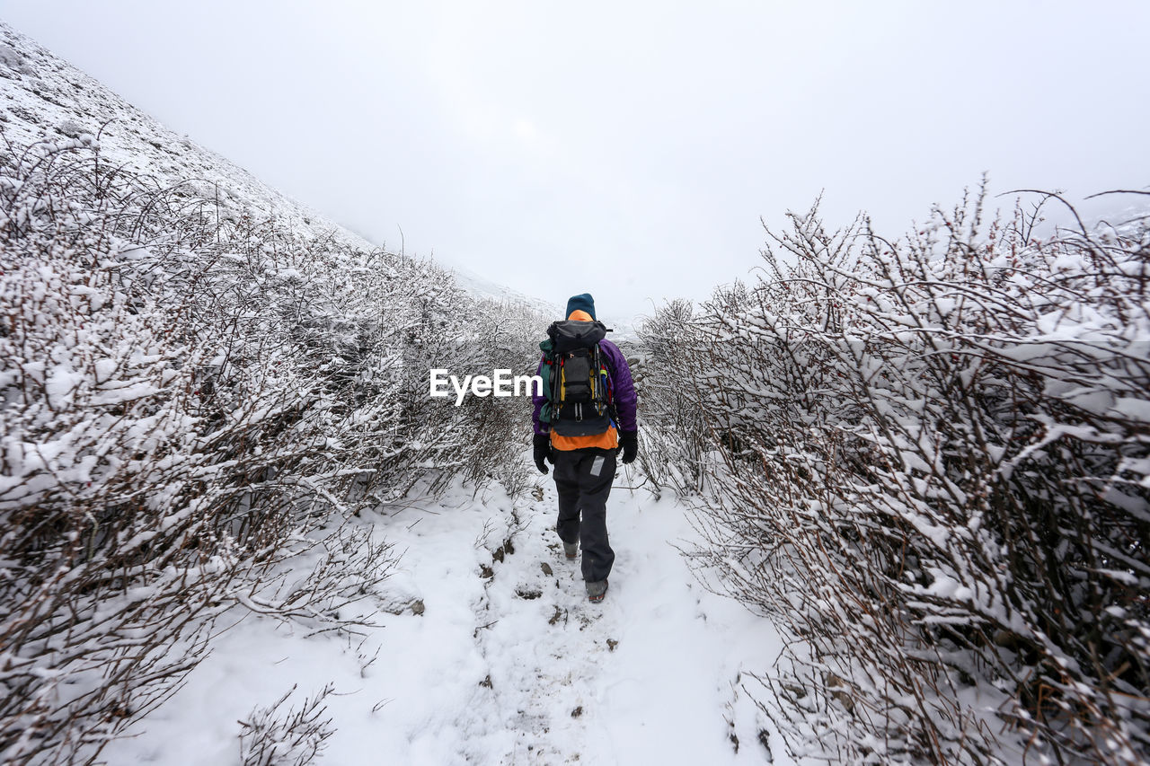 Rear view of person walking on snow covered landscape against sky