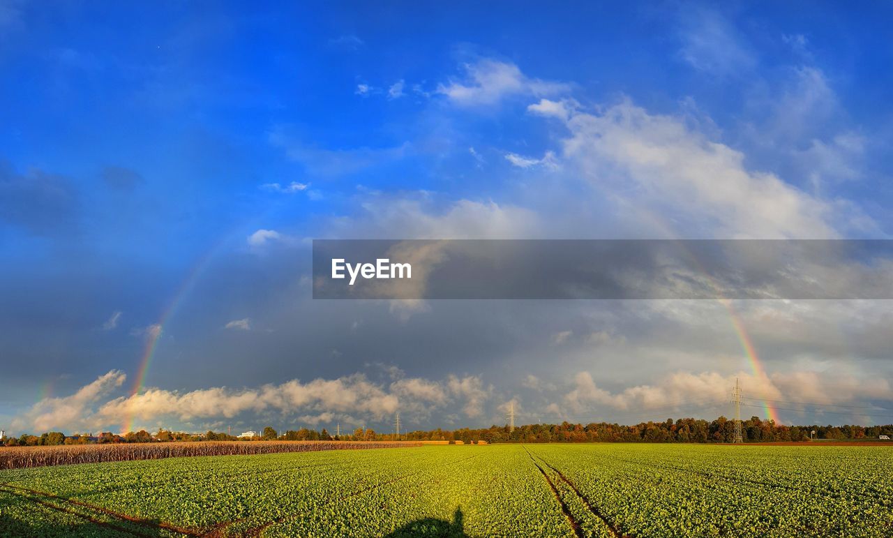 SCENIC VIEW OF FARM AGAINST SKY