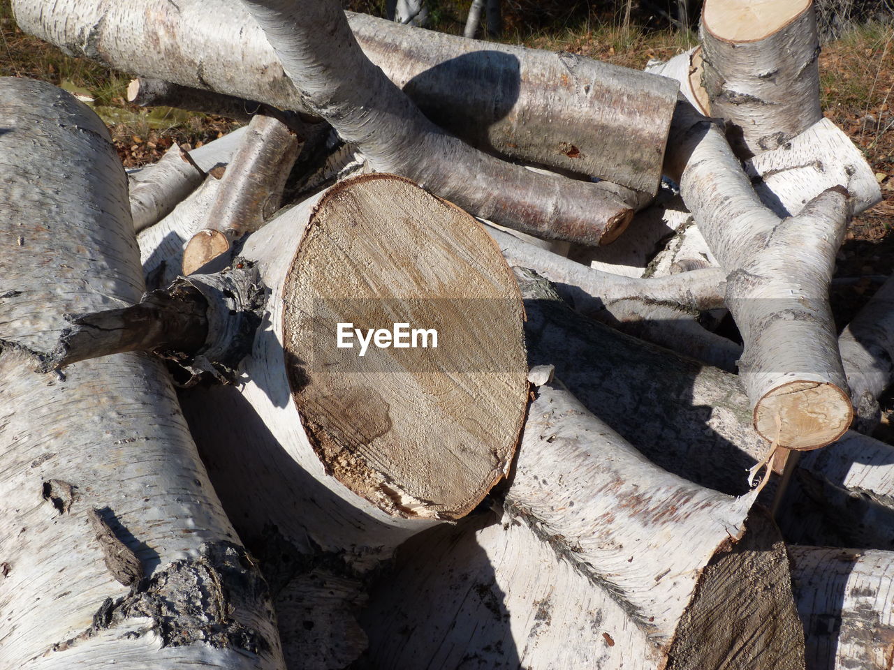 CLOSE-UP OF LOGS ON WOODEN LOG