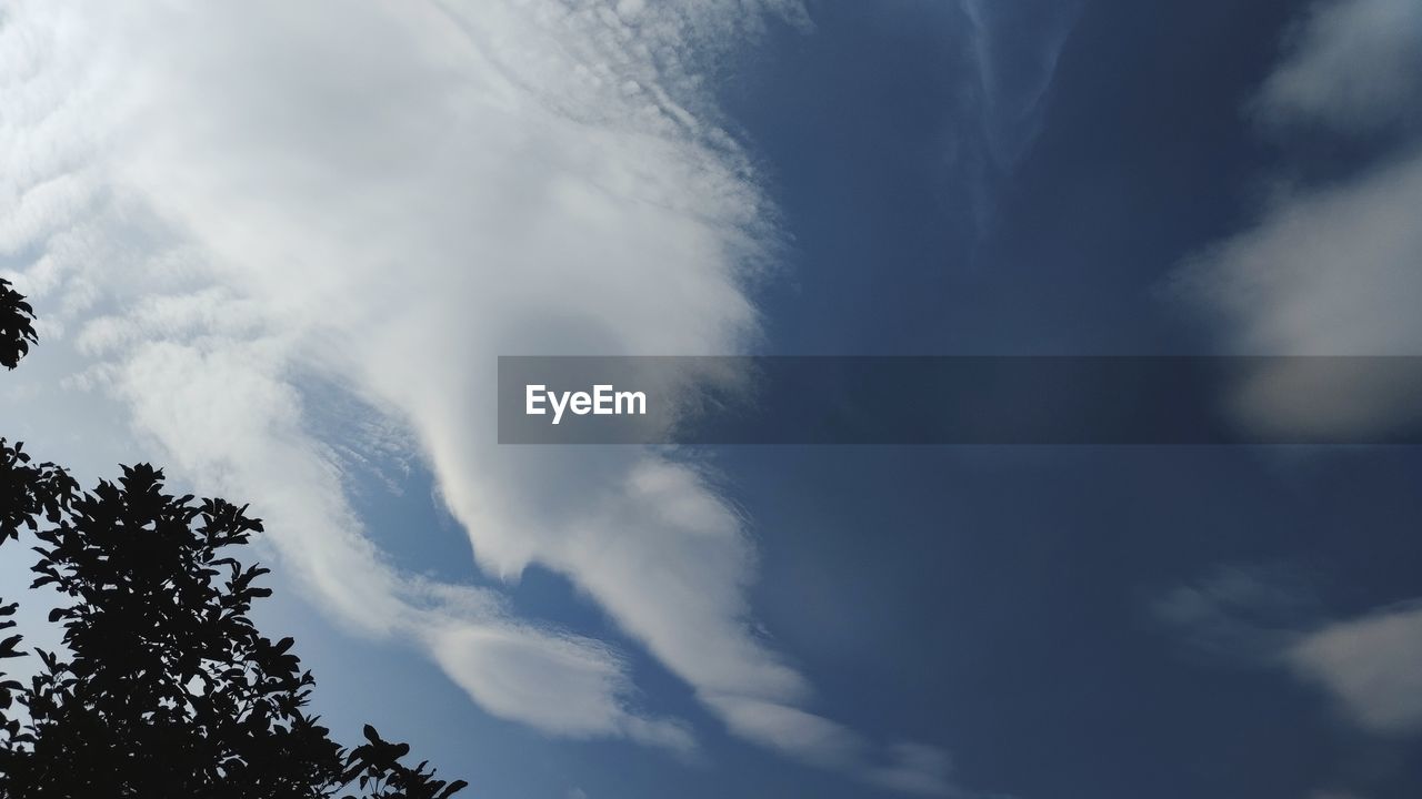 sky, cloud, tree, nature, beauty in nature, low angle view, plant, no people, sunlight, scenics - nature, environment, cloudscape, outdoors, tranquility, dramatic sky, day, blue, silhouette