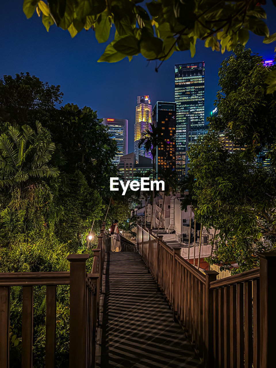 architecture, tree, built structure, plant, building exterior, city, nature, building, urban area, night, sky, railing, evening, travel destinations, no people, office building exterior, residential district, outdoors, skyscraper, growth, illuminated, cityscape, travel, landscape, reflection, light, leaf, flower, street