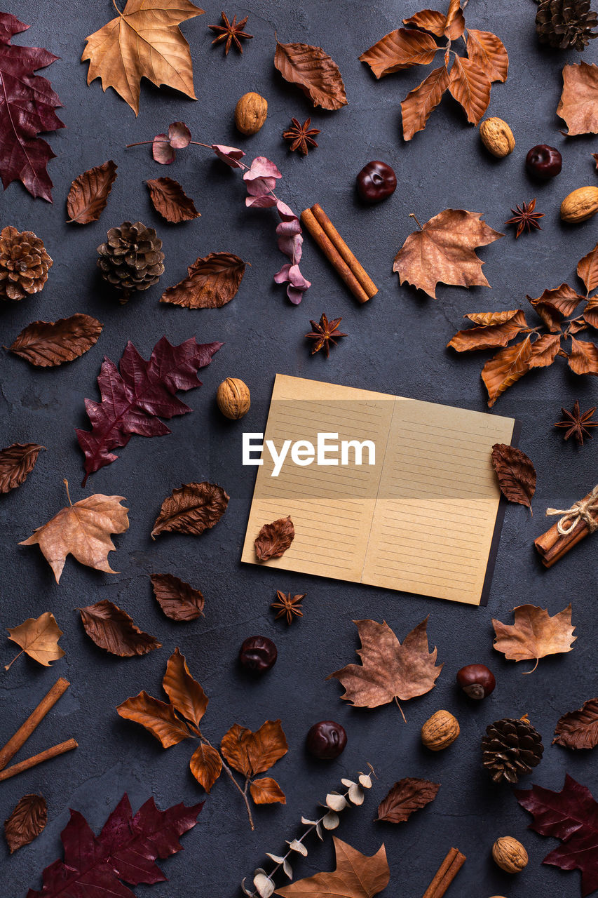 Autumn fall thanksgiving day composition with decorative dried leaves. flat lay, view from above