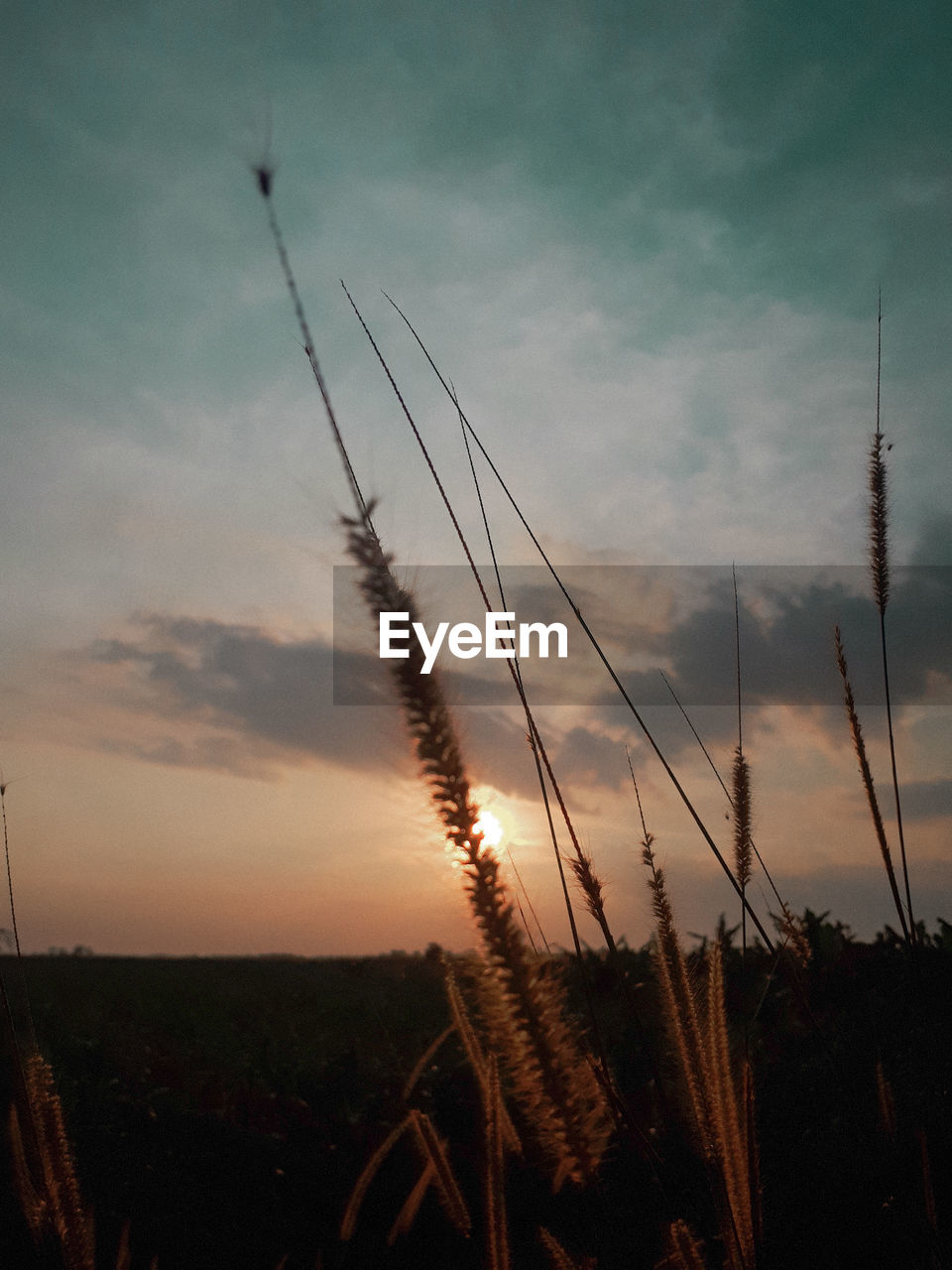 LOW ANGLE VIEW OF SILHOUETTE LANDSCAPE AGAINST SKY DURING SUNSET