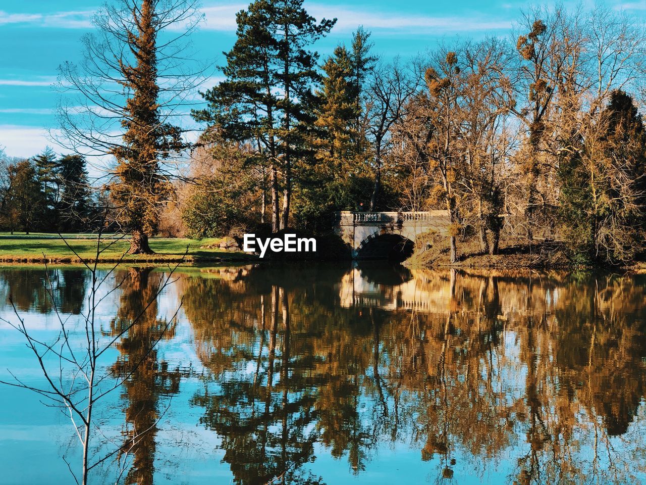 Reflection of trees in lake against sky