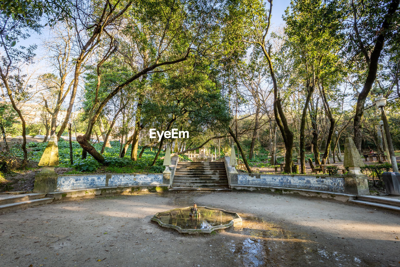 EMPTY PARK BENCH BY TREE