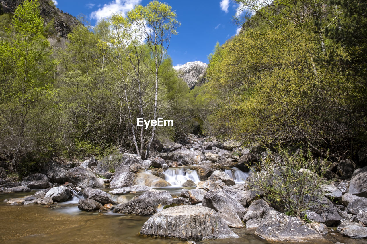 Stream flowing through rocks in forest