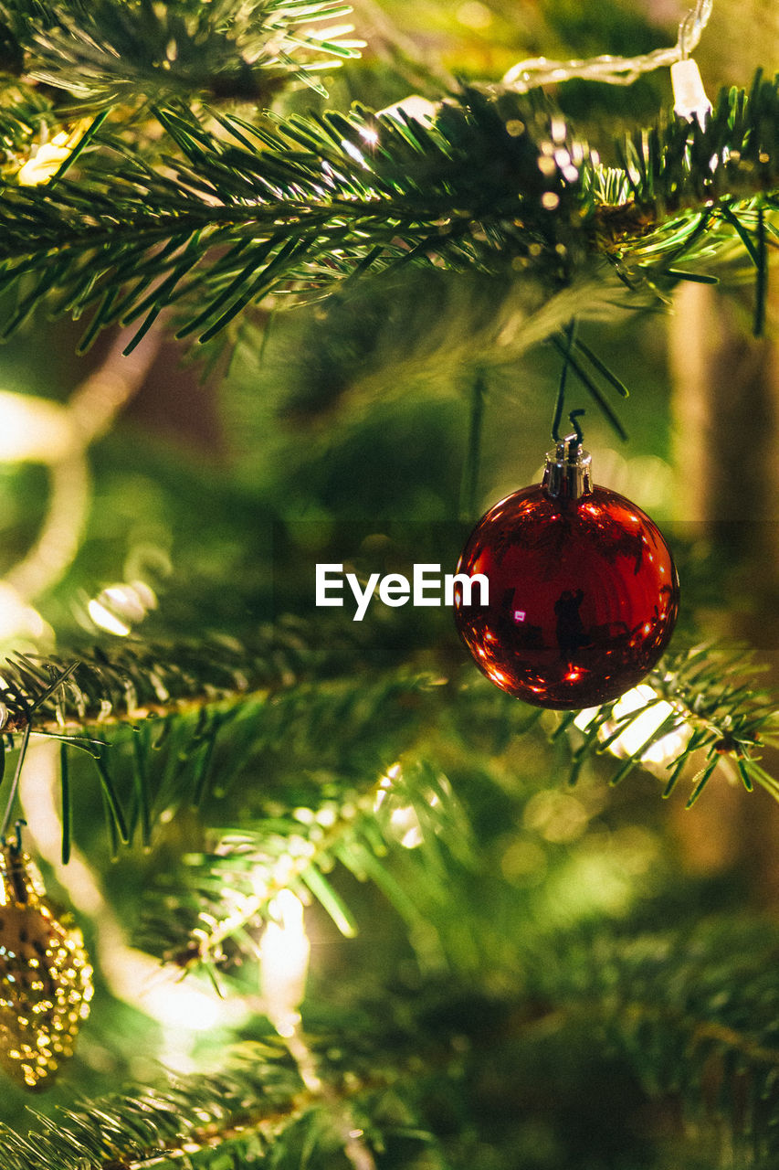 Close-up of red bauble hanging from christmas tree