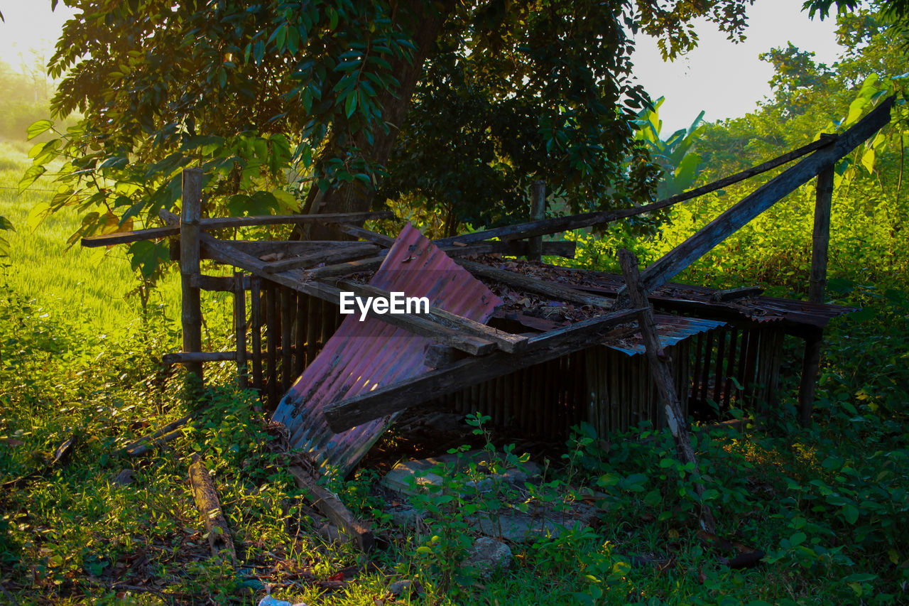 Old wooden structure amidst trees in forest against sky