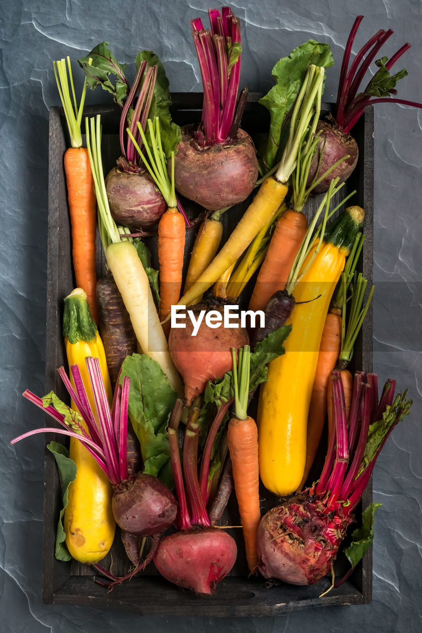 Flat lay of root vegetable including beets, rainbow carrots and yellow zucchini.