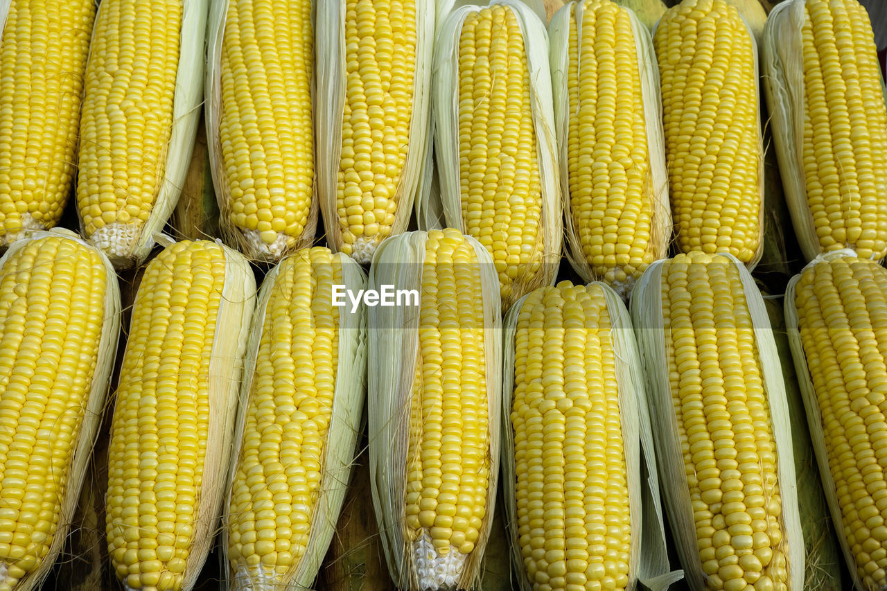 Full frame shot of yellow corns