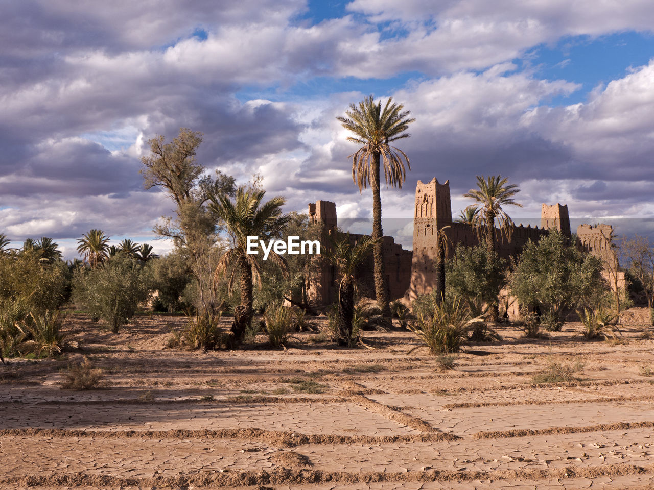 An old kasbah in an oasis near skoura, morocco