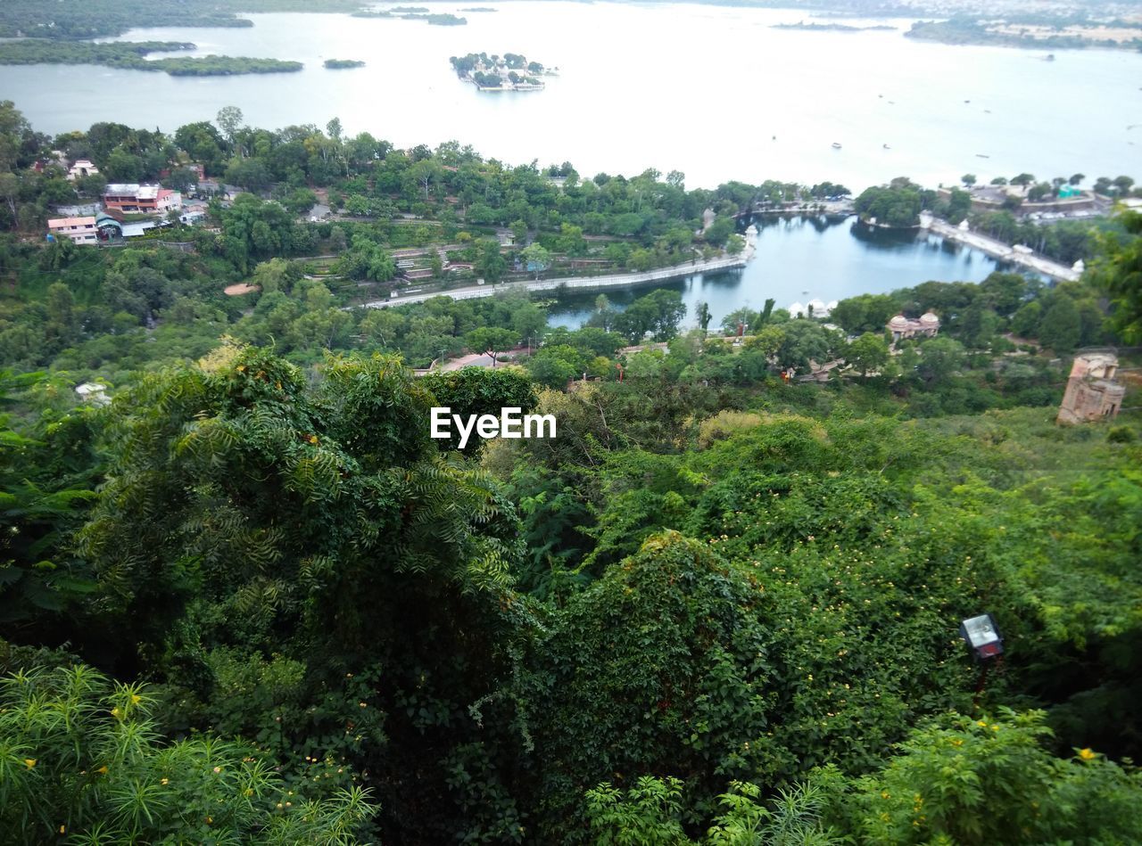 High angle view of trees by sea