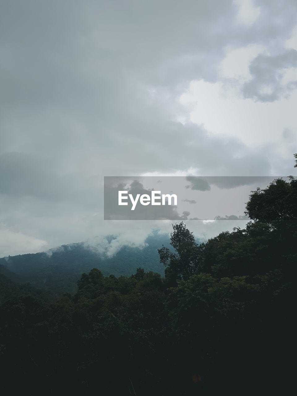 SCENIC VIEW OF TREE MOUNTAIN AGAINST SKY