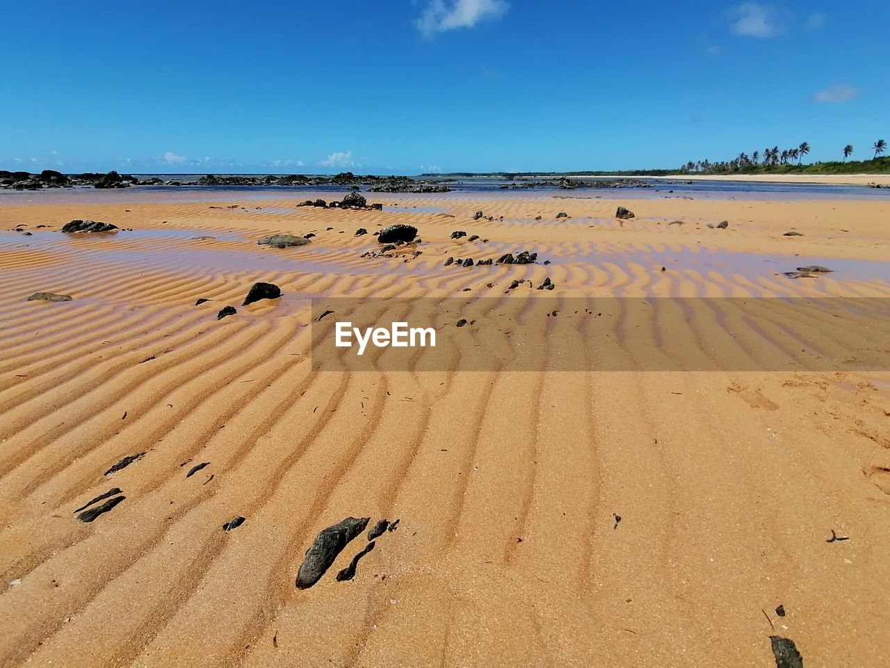 SURFACE LEVEL OF SAND DUNE ON BEACH AGAINST SKY