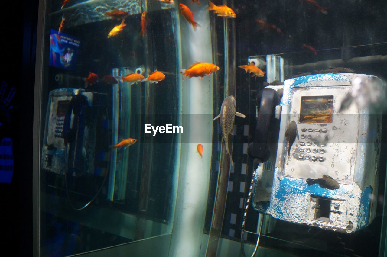 Pay phone in fish tank