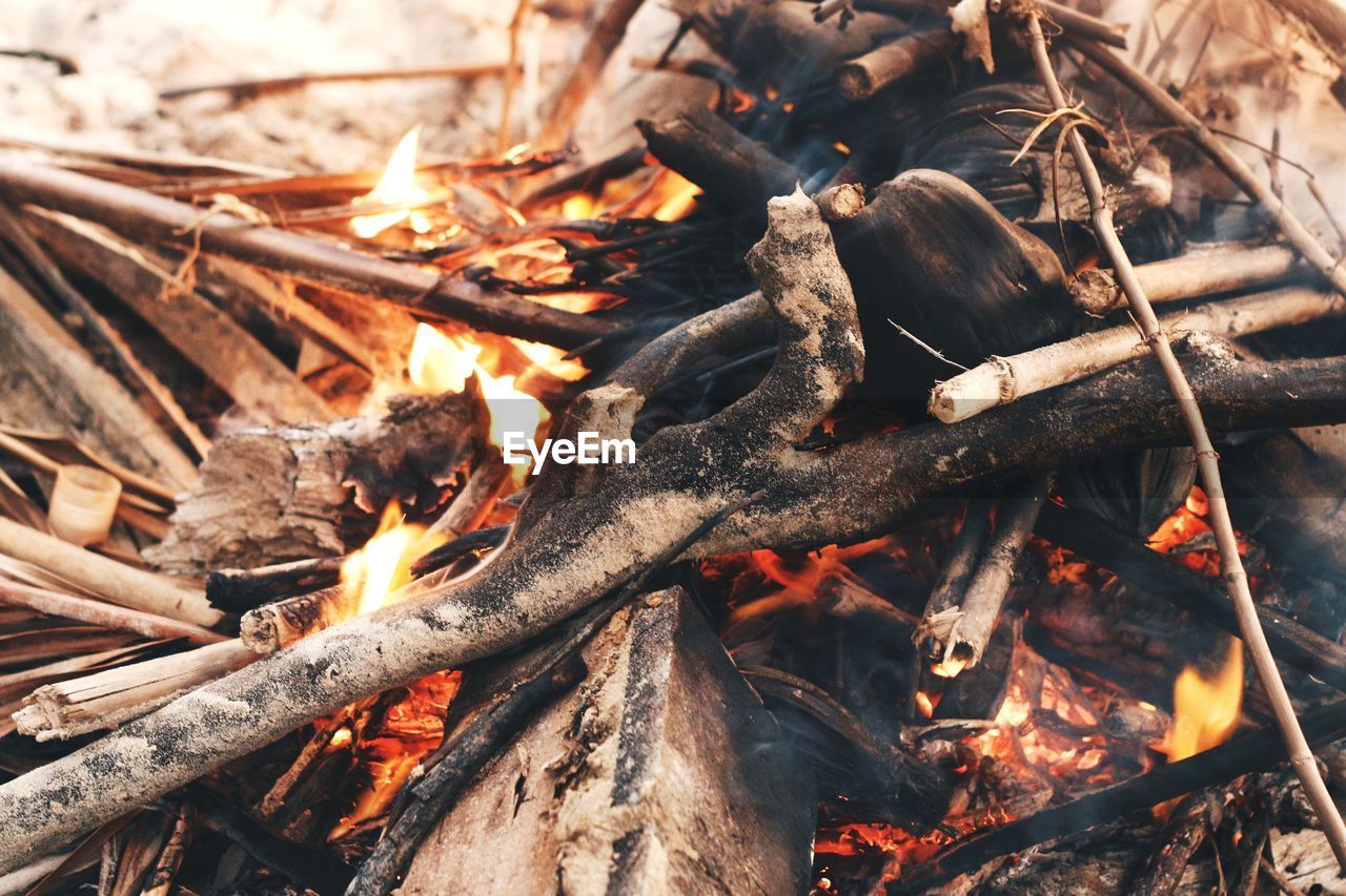 HIGH ANGLE VIEW OF BONFIRE ON TREE