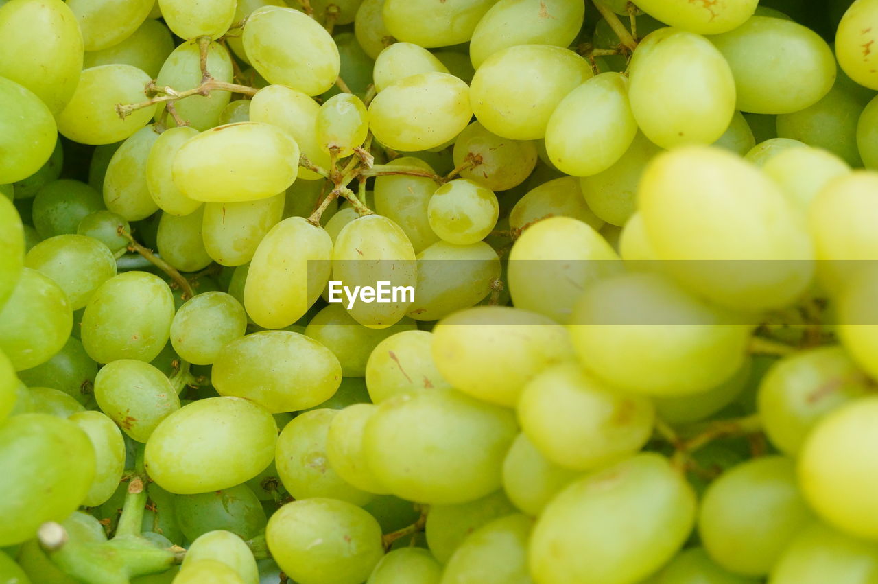 FULL FRAME SHOT OF GRAPES FOR SALE