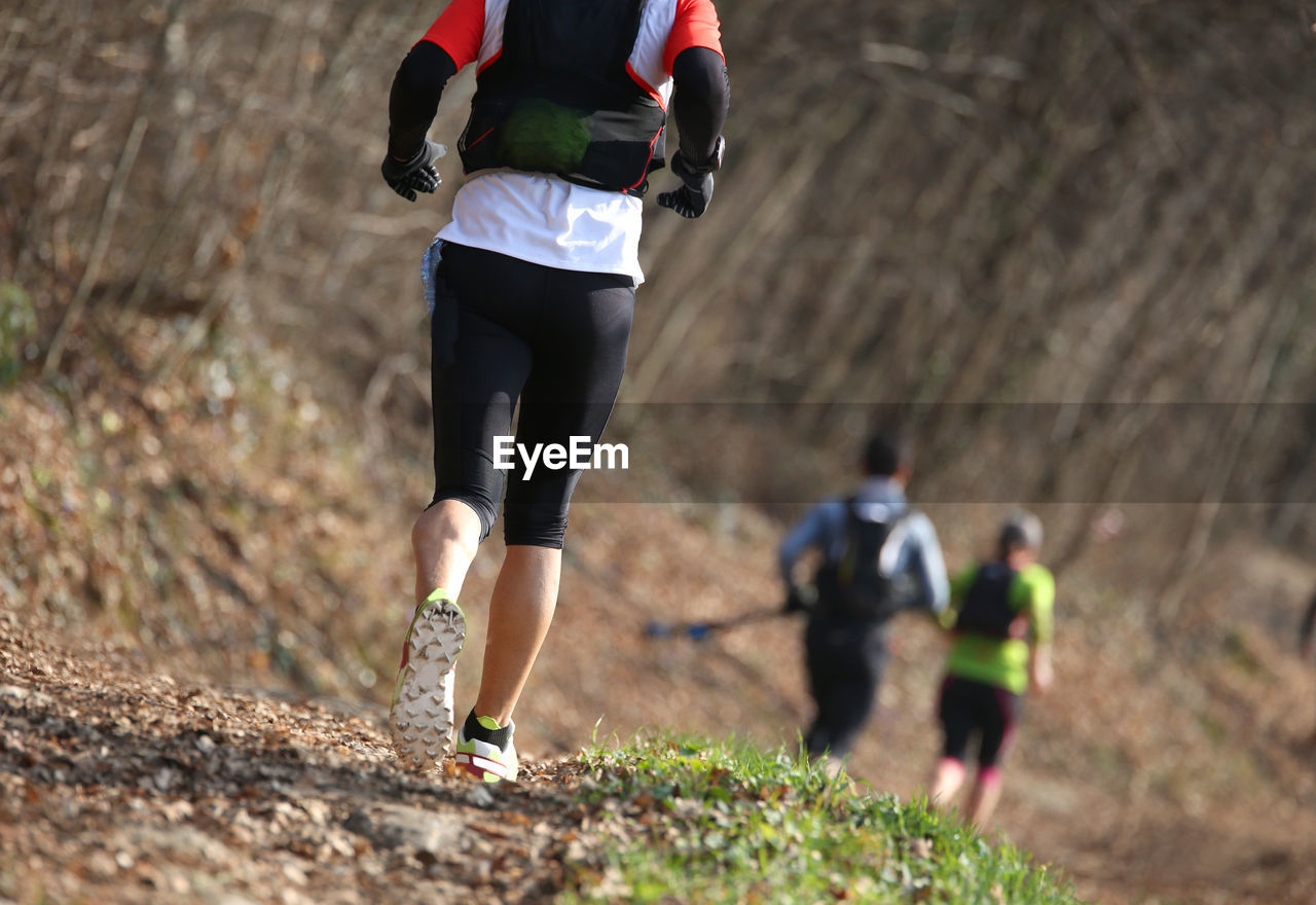 Hikers walking on field in forest