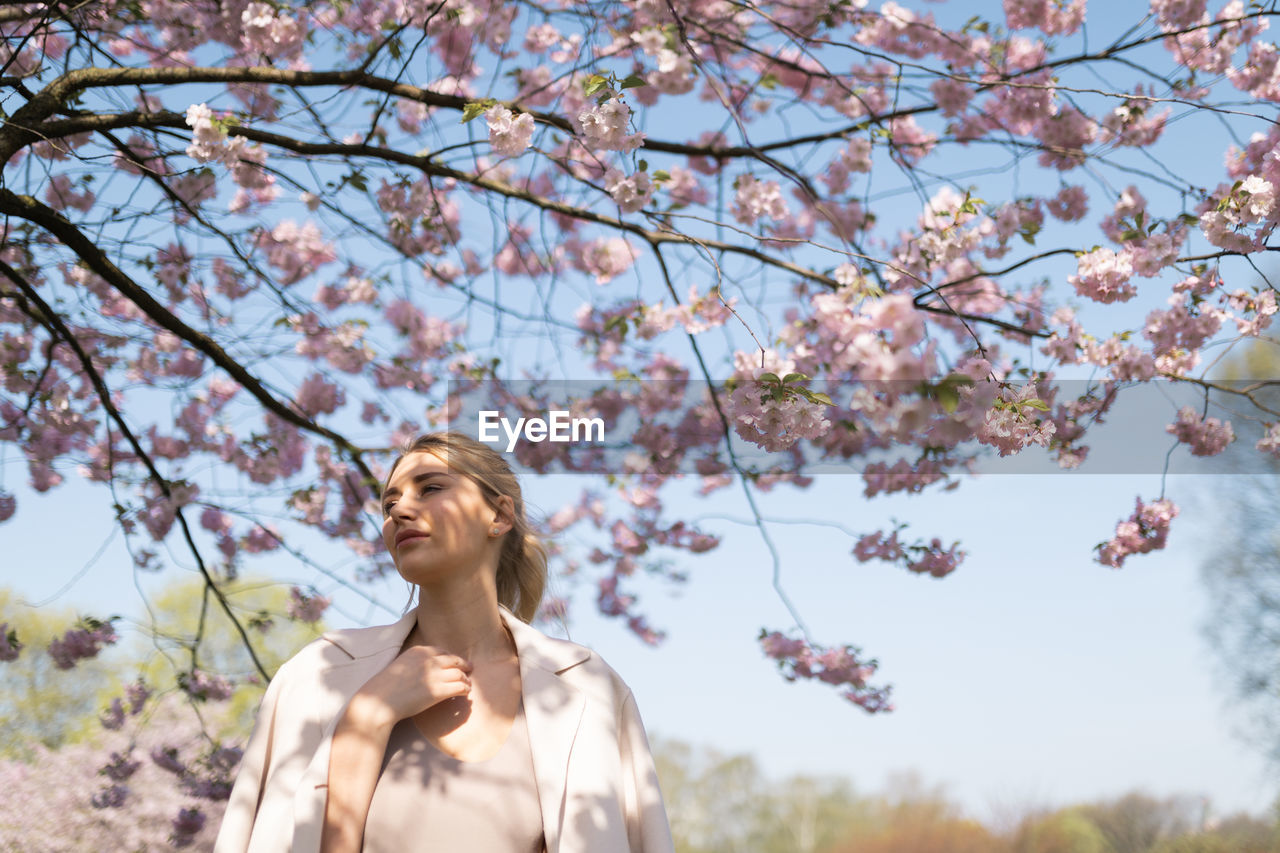 LOW ANGLE VIEW OF YOUNG WOMAN LOOKING AT CHERRY BLOSSOM