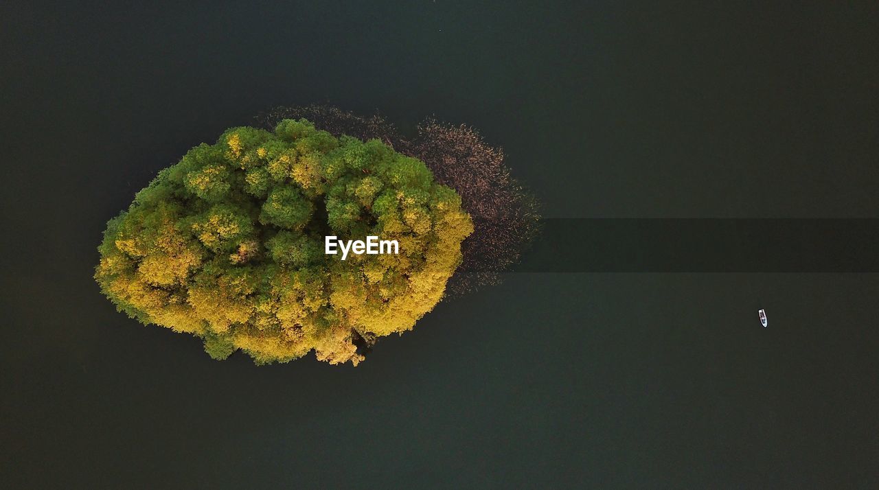 High angle view of island on lake