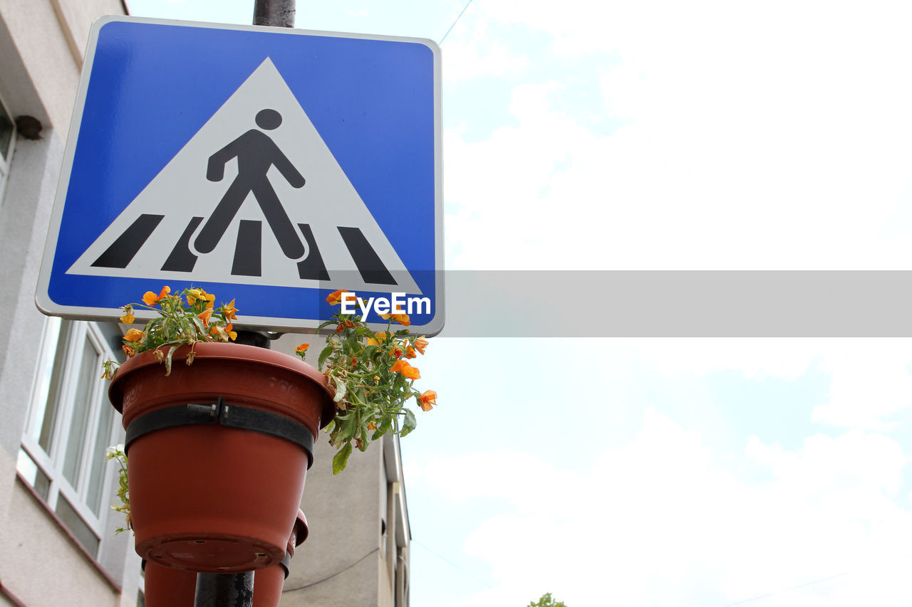 LOW ANGLE VIEW OF ROAD SIGN ON POTTED PLANT AGAINST SKY