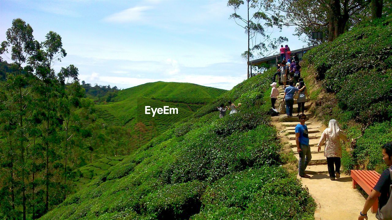 VIEW OF PEOPLE ON GRASSY LANDSCAPE