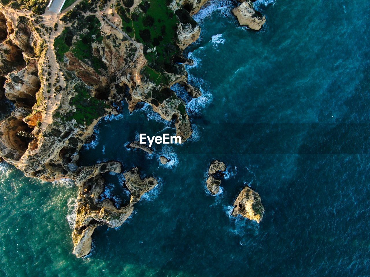 HIGH ANGLE VIEW OF CORAL IN WATER