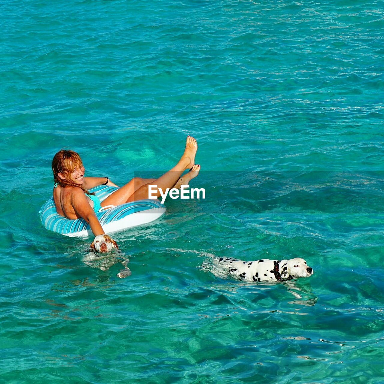 Woman playing with dogs in swimming pool