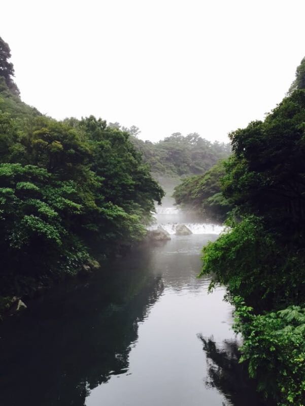 SCENIC VIEW OF LAKE WITH TREES IN BACKGROUND