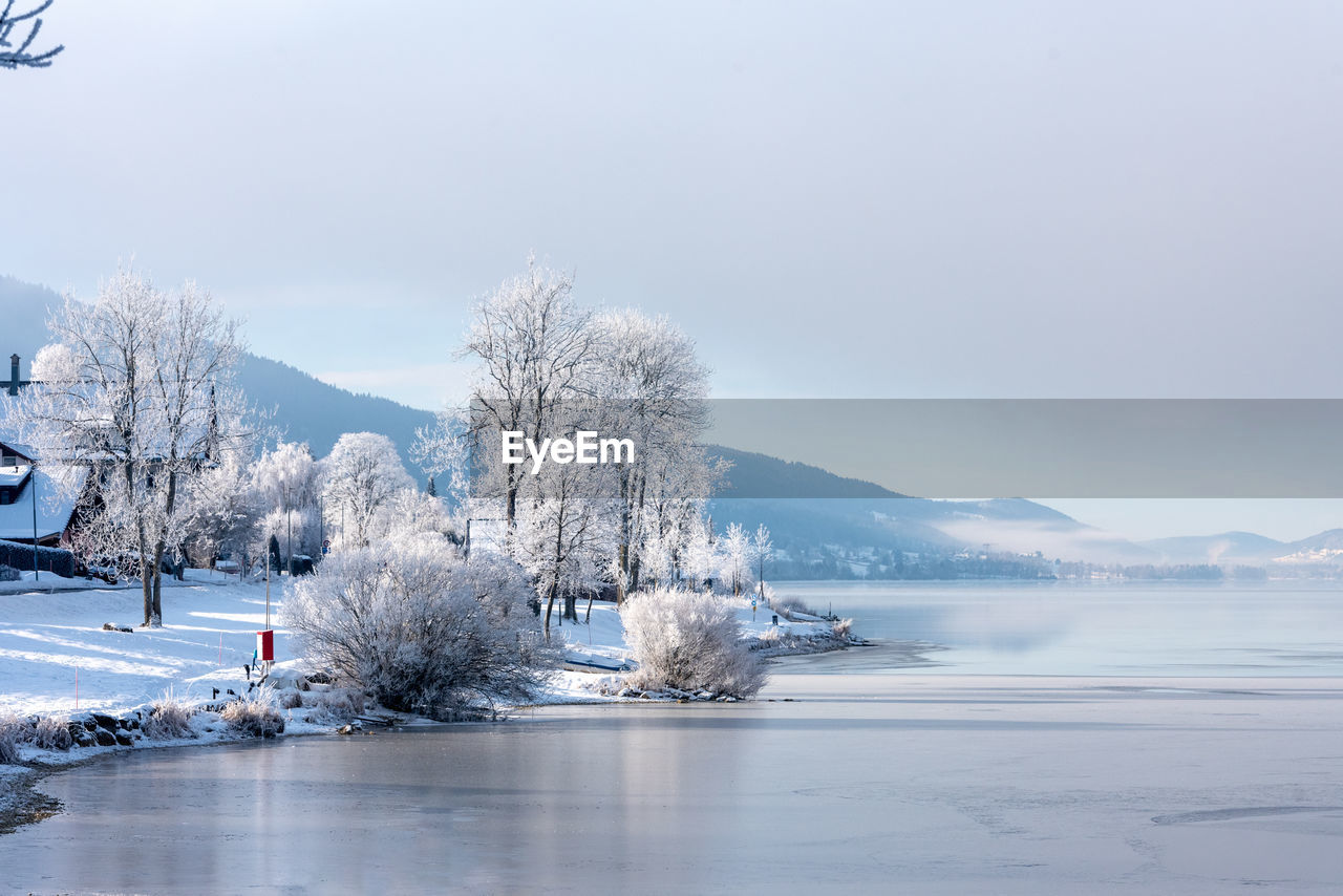 Frozen lake by trees against sky