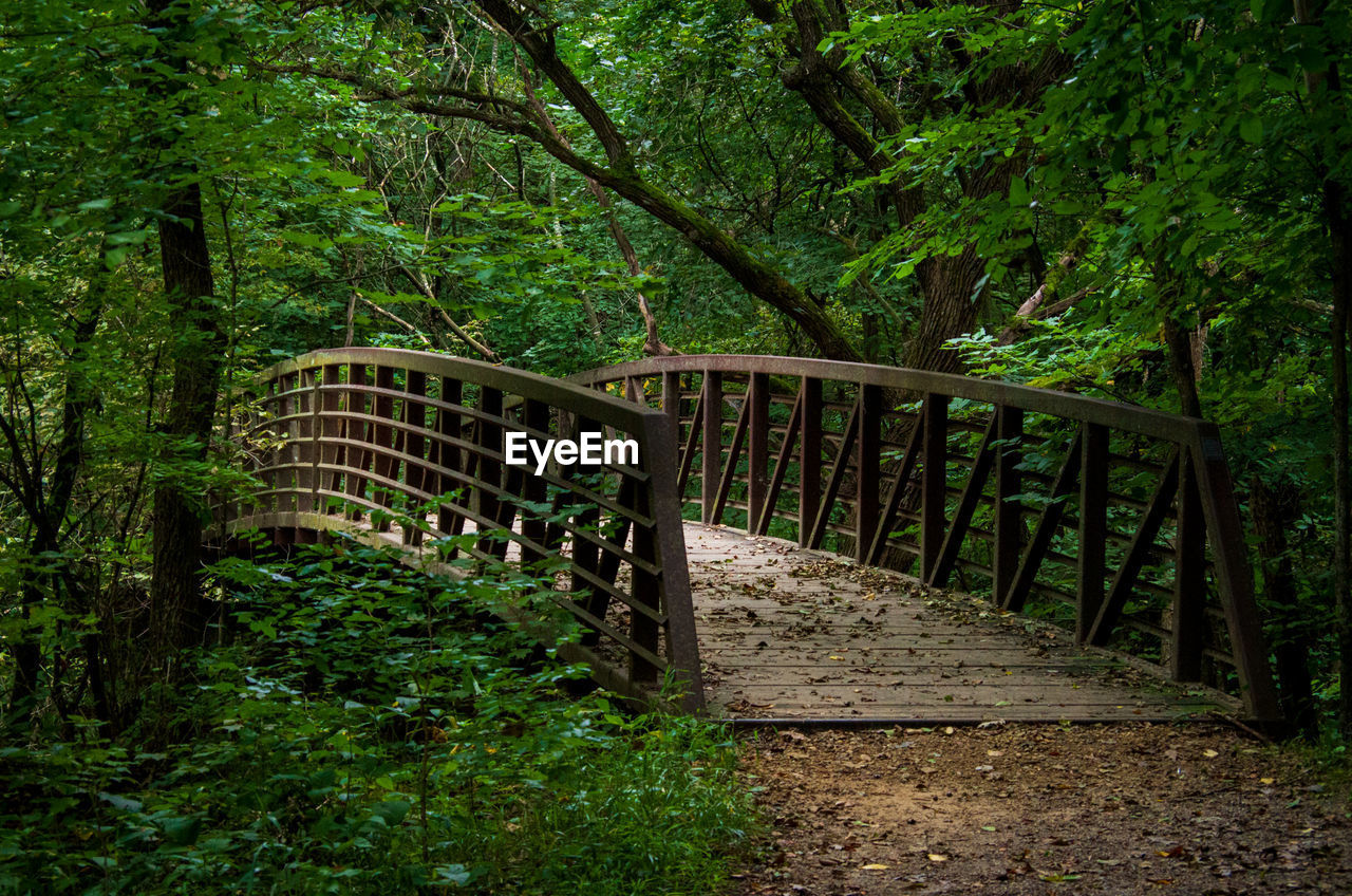 FOOTBRIDGE IN FOREST