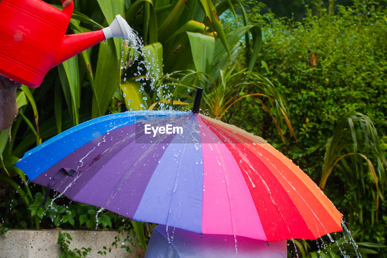 Watering can pouring water on colorful umbrella at back yard