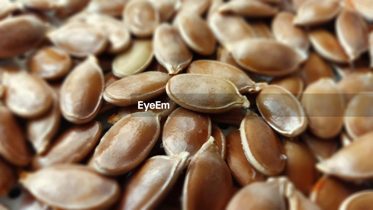 Macro photo of pumpkin seeds, close-up, background texture