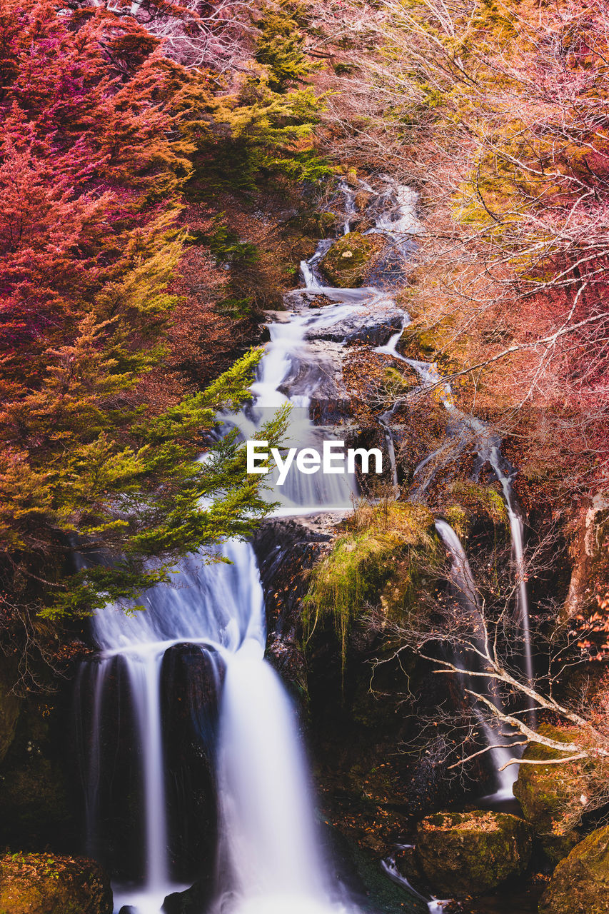 VIEW OF WATERFALL IN FOREST DURING AUTUMN