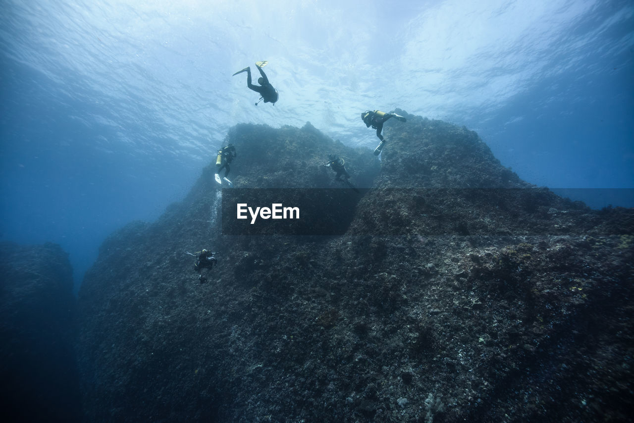 Close-up of scuba divers undersea