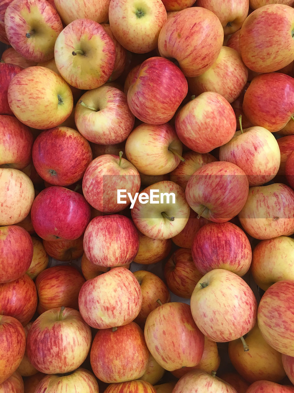 FULL FRAME SHOT OF VARIOUS FRUITS