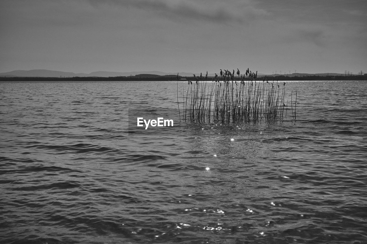 VIEW OF WOODEN POSTS IN SEA