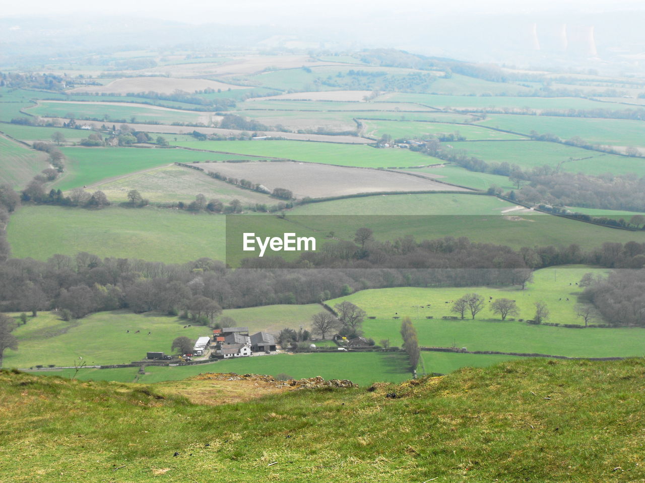 Scenic view of agricultural field