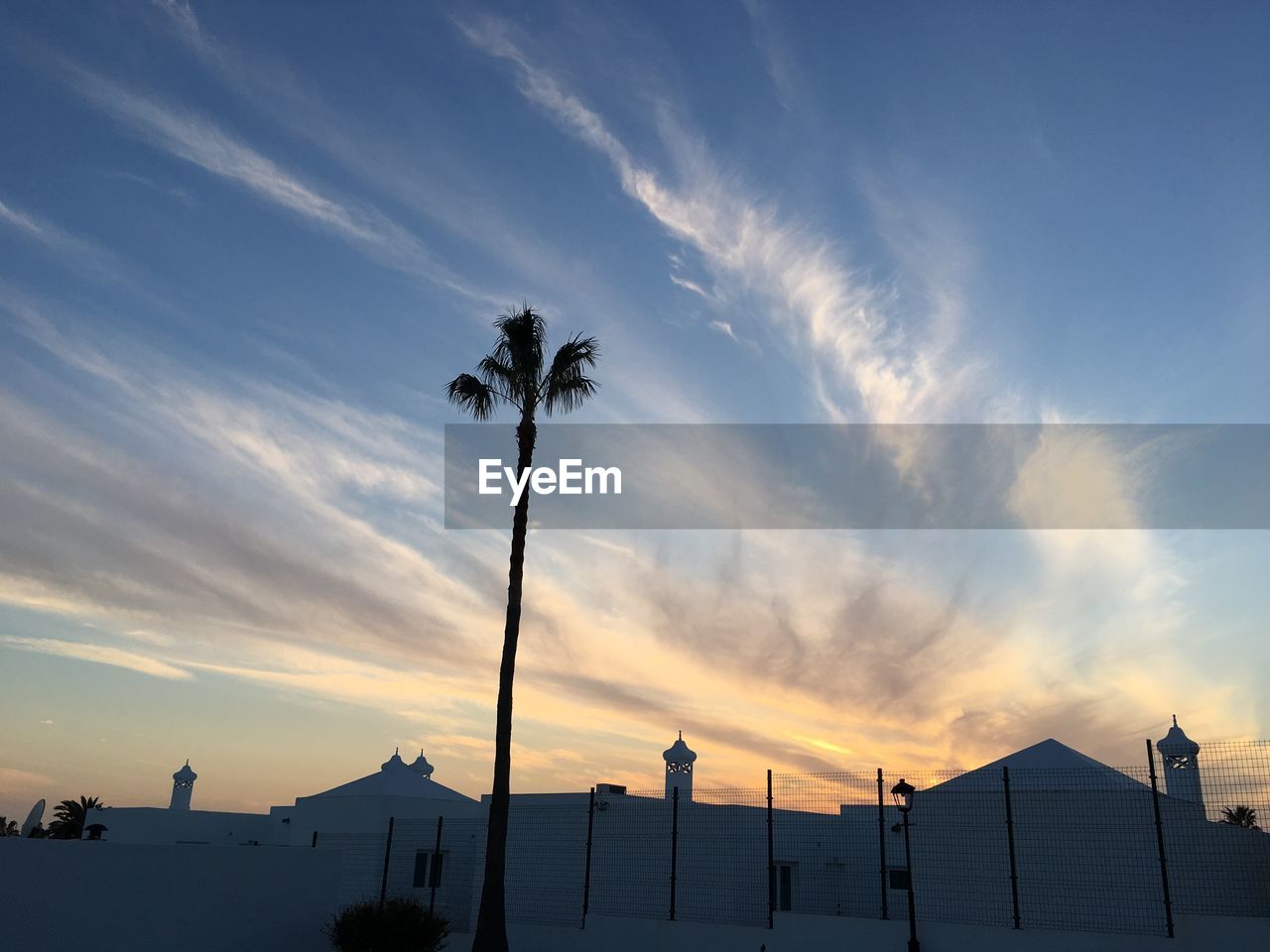 LOW ANGLE VIEW OF SILHOUETTE PALM TREES AGAINST SKY AT SUNSET