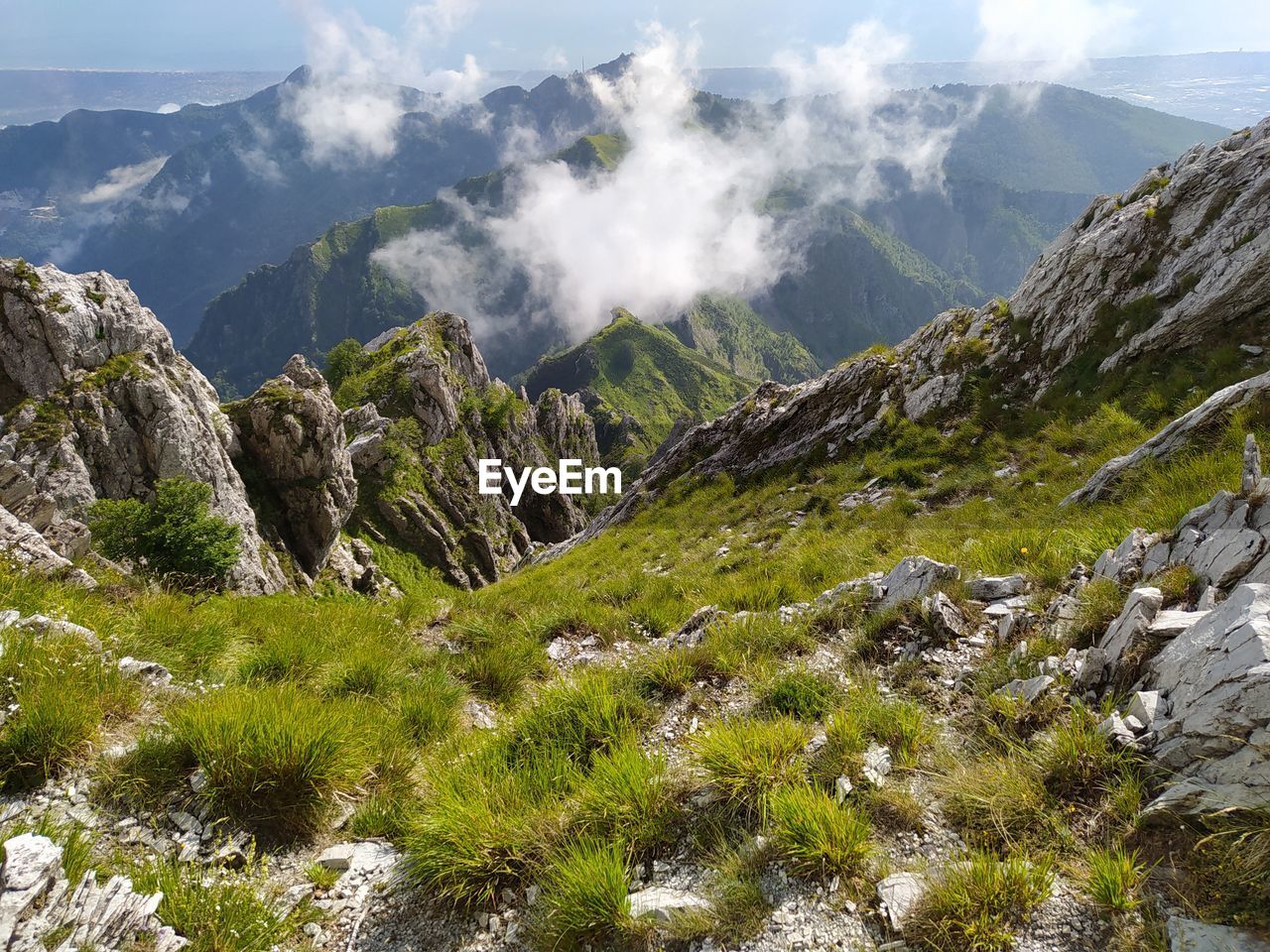 Panoramic viewpoint in the nature of the woods and mountains of the apuan alps in apennines