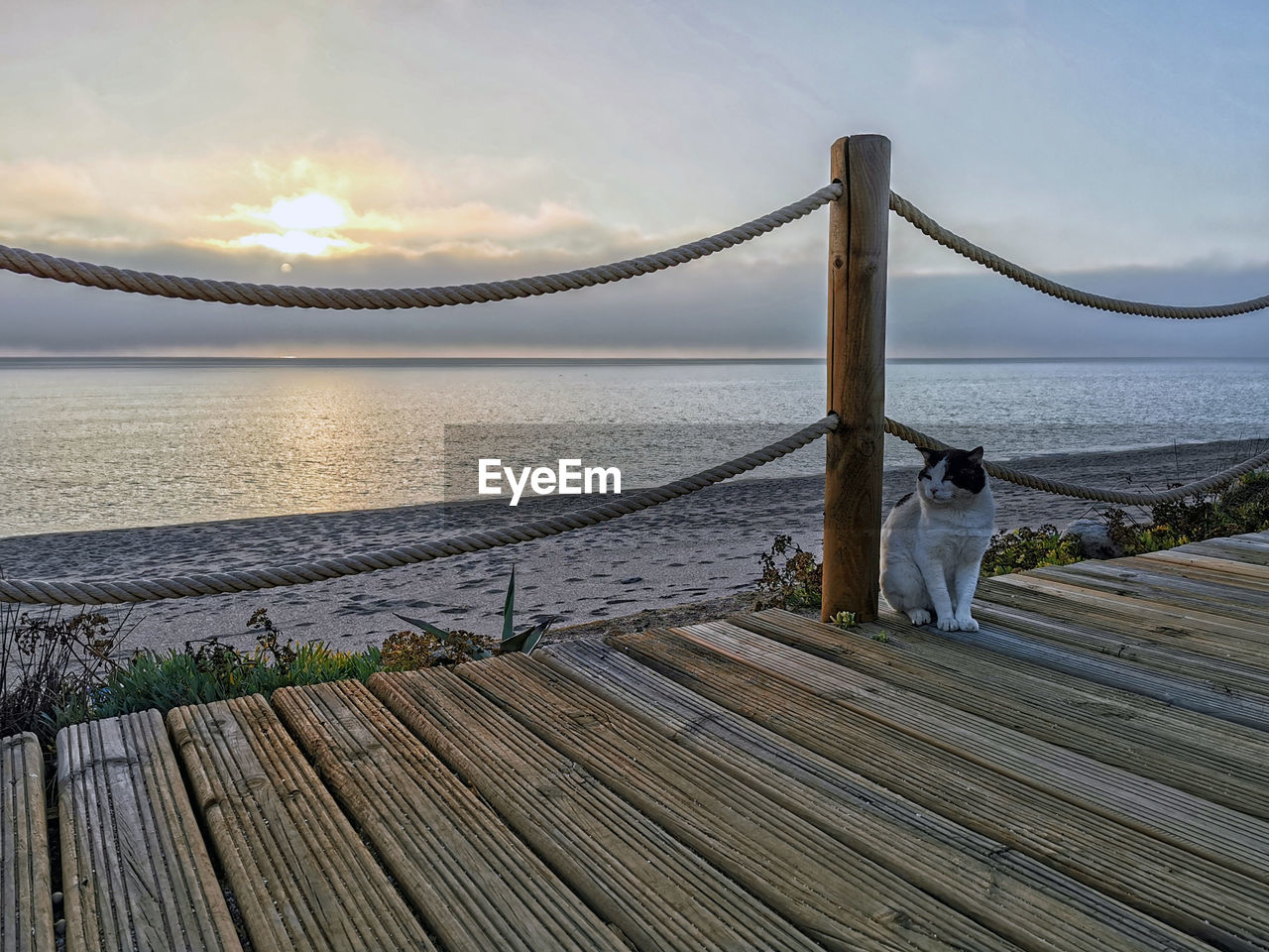 REAR VIEW OF PEOPLE ON PIER AGAINST SEA