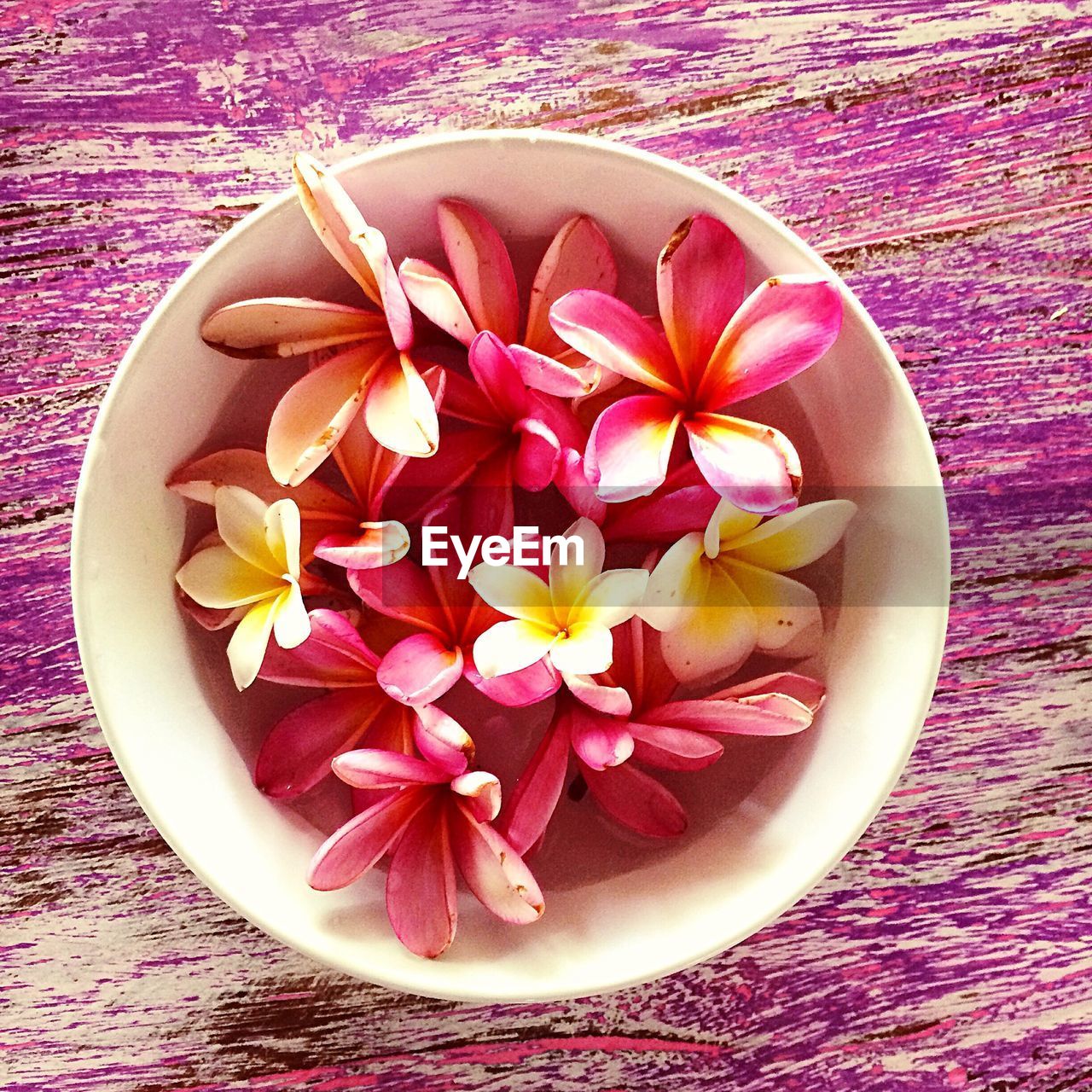 Flowers in bowl