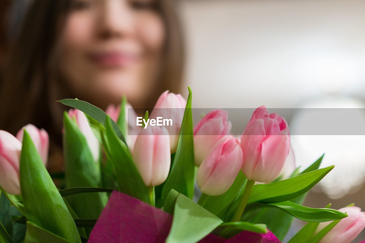 CLOSE-UP OF PINK TULIP FLOWERS AGAINST BLURRED BACKGROUND