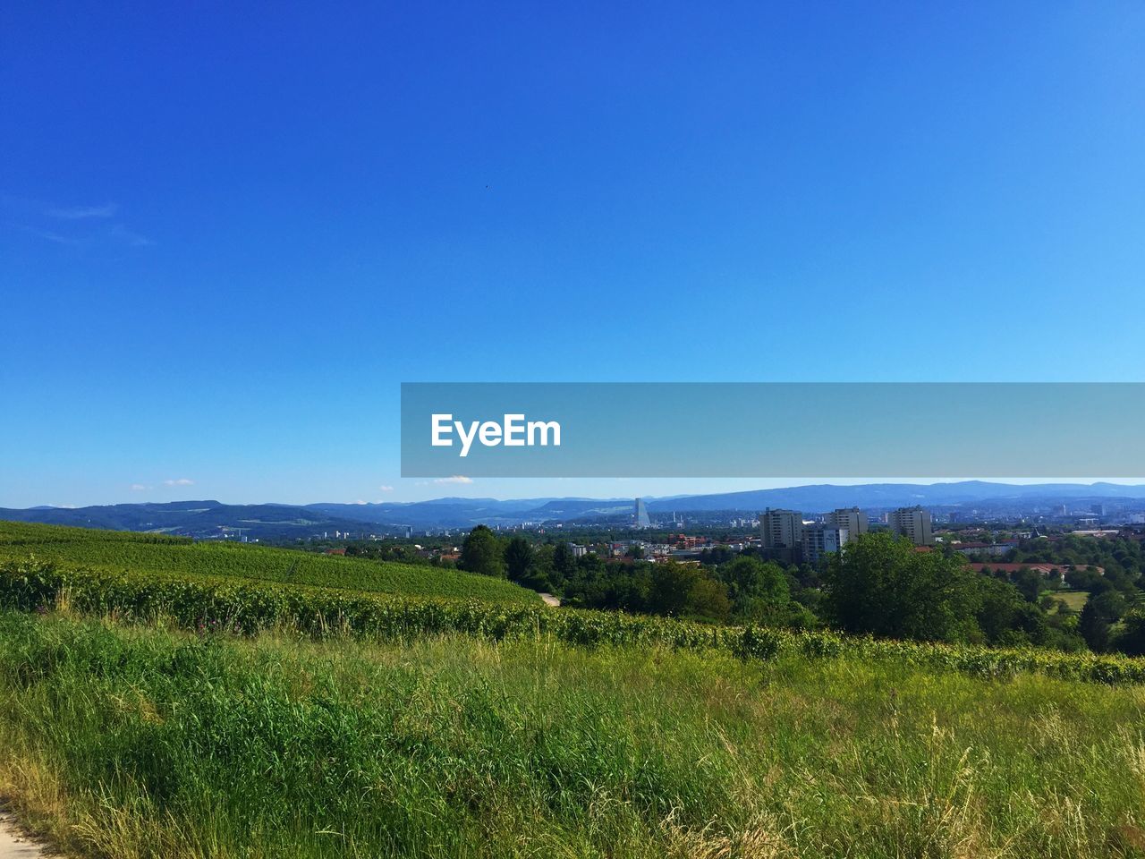 Scenic view of field against clear blue sky