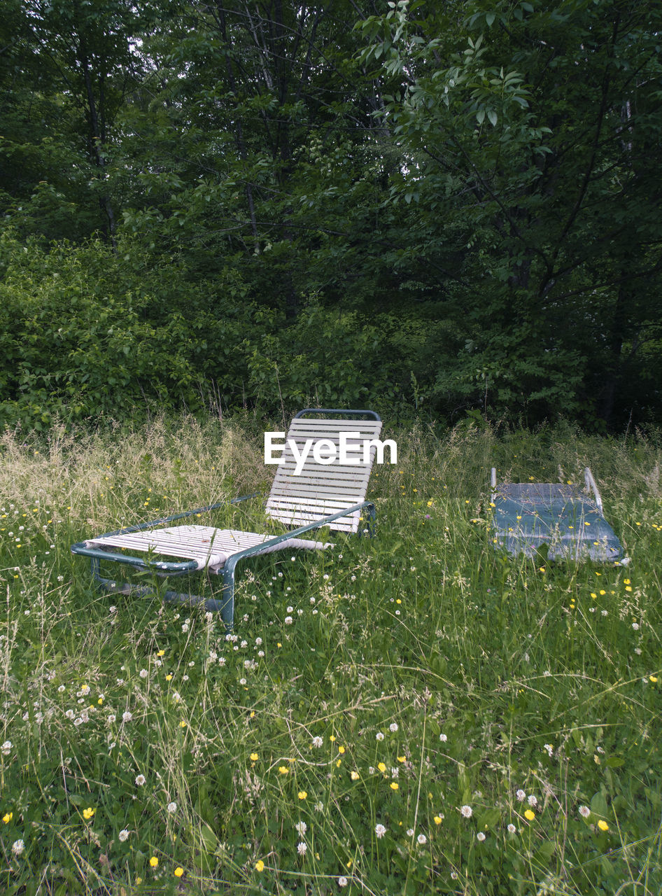 Plants growing on field and empty chair