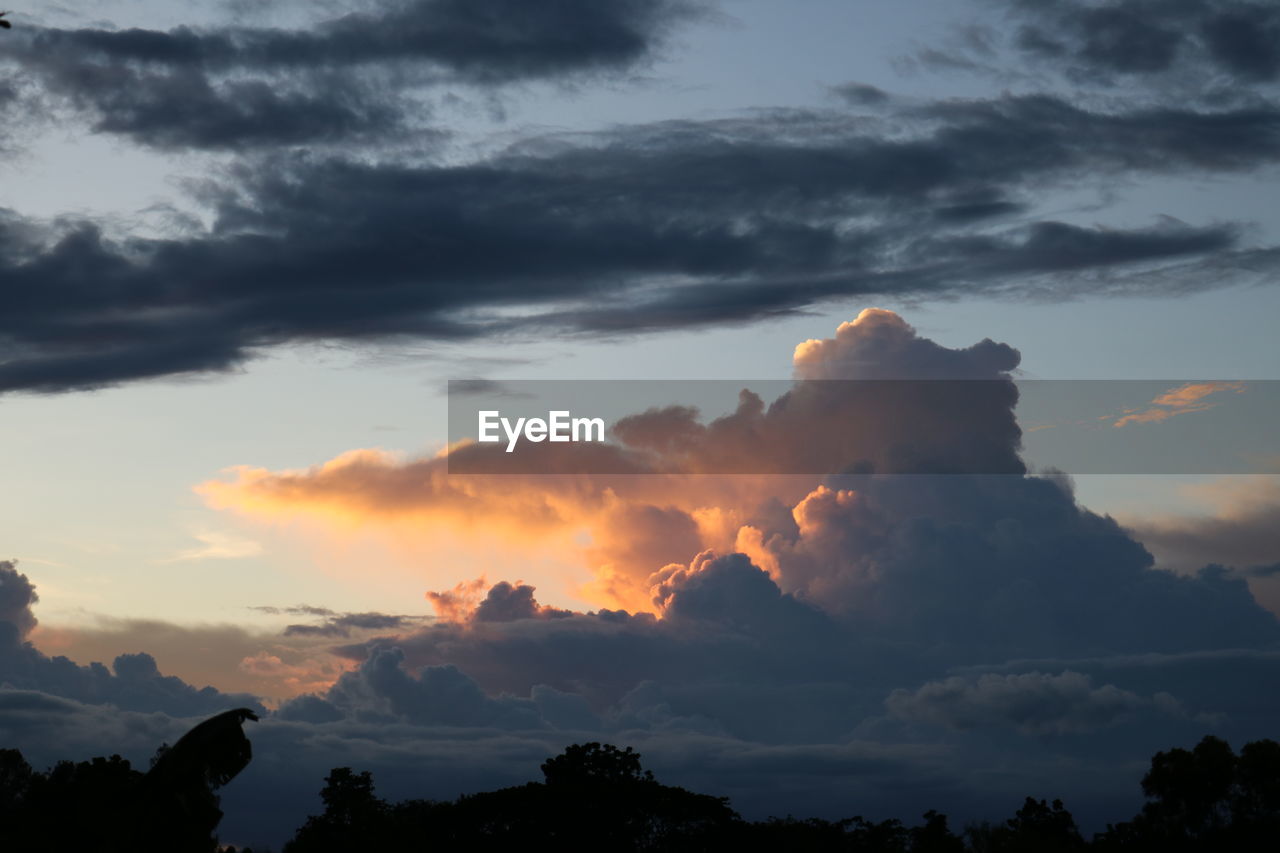 Low angle view of silhouette trees against dramatic sky