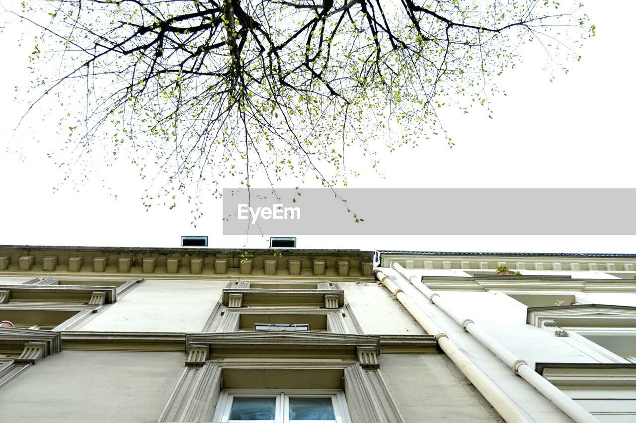 Directly below shot of building