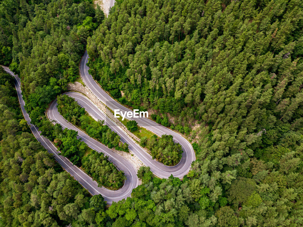 A winding road visible from the air, between green forests