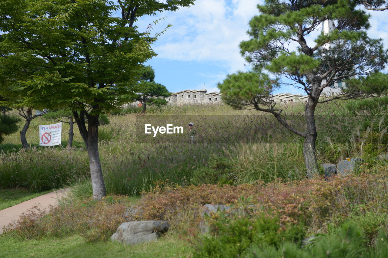 TREES AND PLANTS ON FIELD